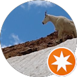 Profile photo of David Mitchell