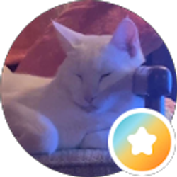 Profile photo of Kabooti