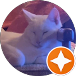 Profile photo of Kabooti