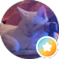 Profile photo of Kabooti
