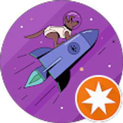 Profile photo of Pamela Clark