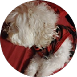 Profile photo of Douglas Delgado