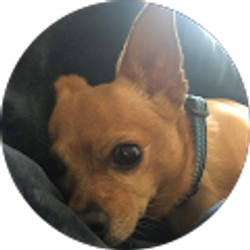 Profile photo of Chris Farrar