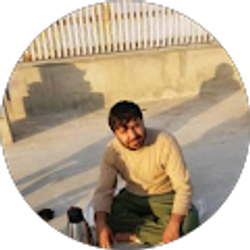 Profile photo of Qaisa Hakimi