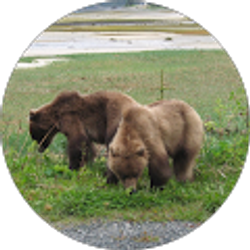 Profile photo of James Carlson