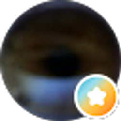 Profile photo of Mark Ankar