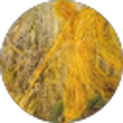 Profile photo of Robert Bratton