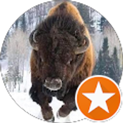 Profile photo of Keith Norman