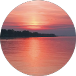 Profile photo of T C.Serious