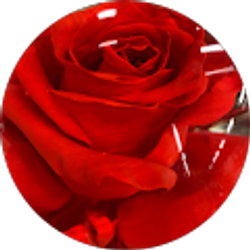 Profile photo of Jenny