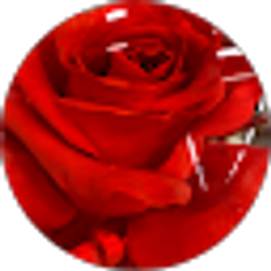 Profile photo of Jenny