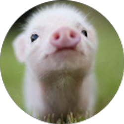 Profile photo of Derek E