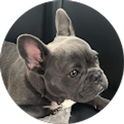 Profile photo of Alvin Ellis