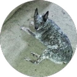 Profile photo of scott hendricks