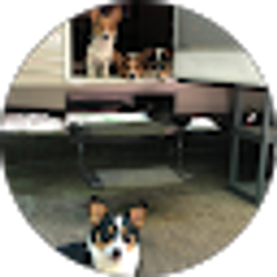 Profile photo of ABC Kennels
