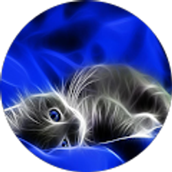 Profile photo of Kimberley Boldin