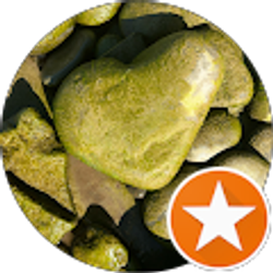 Profile photo of Amy R.