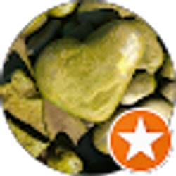 Profile photo of Amy R.