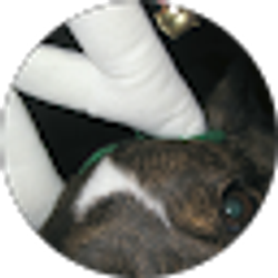 Profile photo of Nora Elcar-Verdon