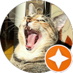 Profile photo of Shayna Glazer