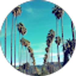 Profile photo of Korelle Bolster