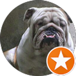 Profile photo of Pedro Salas