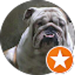 Profile photo of Pedro Salas