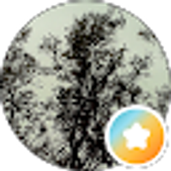 Profile photo of Syfo Deous