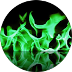 Profile photo of Andrew Ortiz