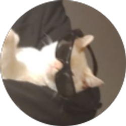 Profile photo of SrHandsome