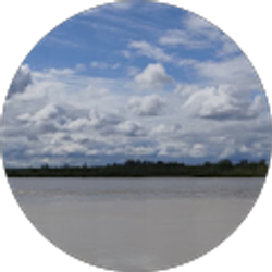 Profile photo of ccwthompson