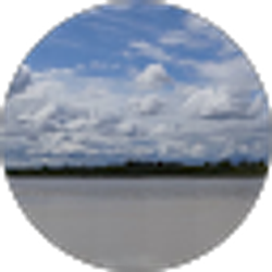 Profile photo of ccwthompson