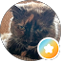 Profile photo of Diane Humphris