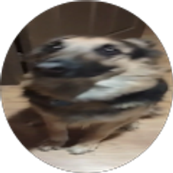 Profile photo of Sam R