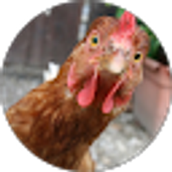 Profile photo of Meme Dealer