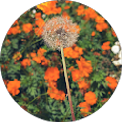 Profile photo of Bridget Harwell