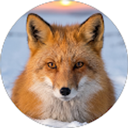 Profile photo of Jeff F