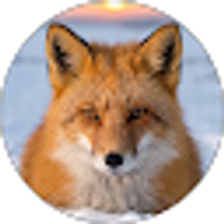 Profile photo of Jeff F
