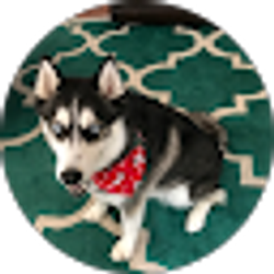 Profile photo of Sarah Perez (SarahLeaCheesecake)