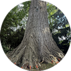 Profile photo of Jeff Bialoszynski