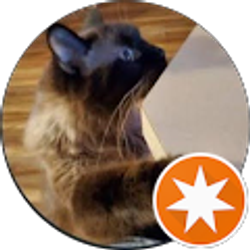 Profile photo of ImAcatCA133