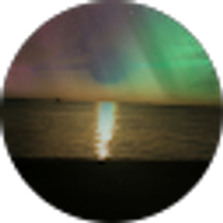 Profile photo of Maia Valls