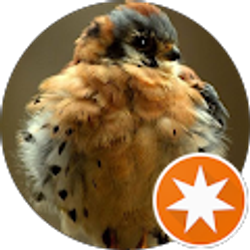 Profile photo of Holland Mills