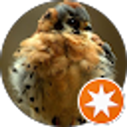 Profile photo of Holland Mills