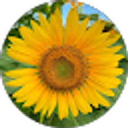 Profile photo of Barbara Thurber