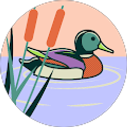 Profile photo of Ivy DeWitte