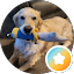 Profile photo of Kimmi P