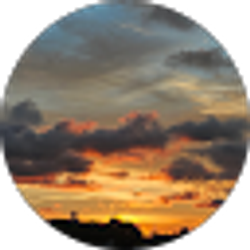 Profile photo of Samantha Y