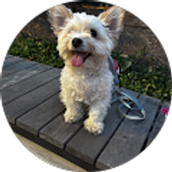 Profile photo of Lisbeth Herrera