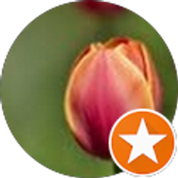 Profile photo of Tulia P.R.